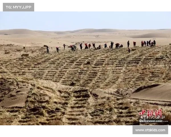 荒漠中的建筑策略 荒漠中的建筑策略